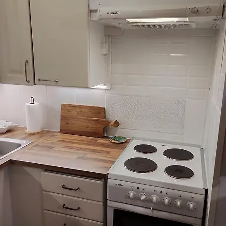 Northern Charm דירה רובניימי